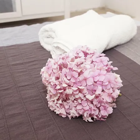 Confluence Appartement Korčula